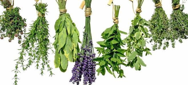 أعشاب لزيادة الفاعلية عند الرجال.